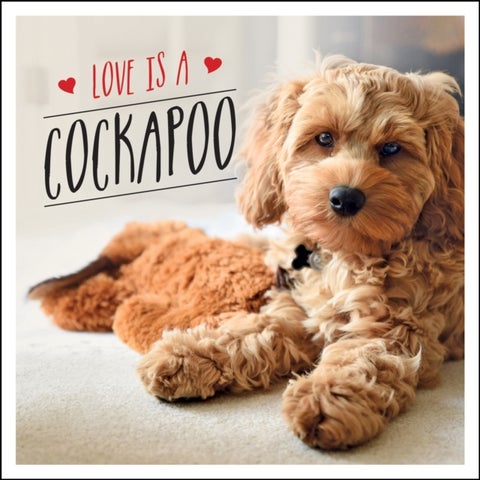 Love is a Cockapoo - A Dog-Tastic Celebration of the World's Cutest Breed