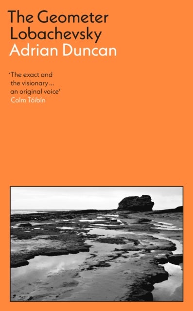 The Geometer Lobachevsky - Shortlisted for the 2023 Walter Scott Prize and the 2023 Kerry Group Novel of the Year