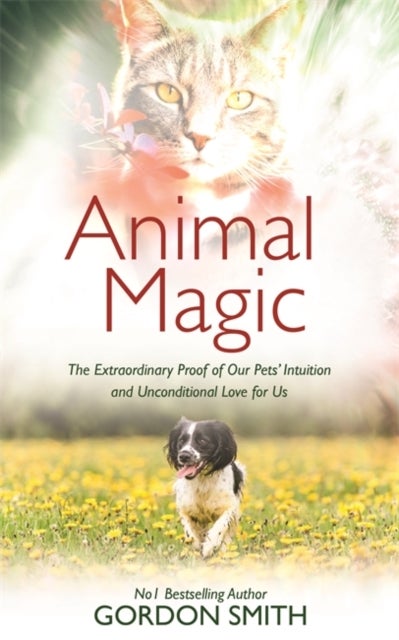 Animal Magic - The Extraordinary Proof of Our Pets¿ Intuition and Unconditional Love for Us