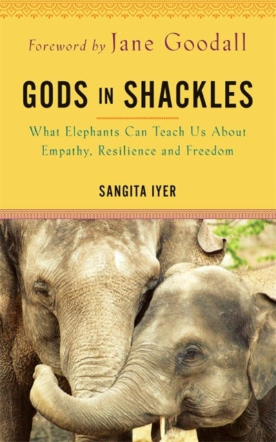 Gods in Shackles - What Elephants Can Teach Us About Empathy, Resilience and Freedom