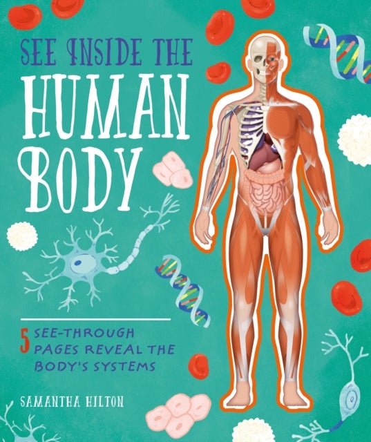Bilde av See Inside The Human Body Av Samantha Hilton