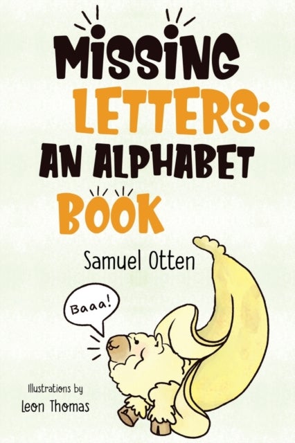 Missing Letters - An Alphabet Book