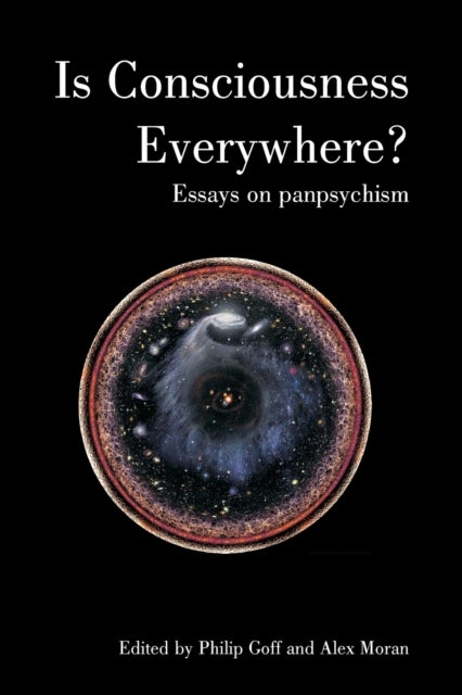 Is Consciousness Everywhere? - Essays on Panpsychism
