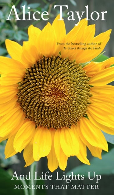 And Life Lights Up - Moments that Matter