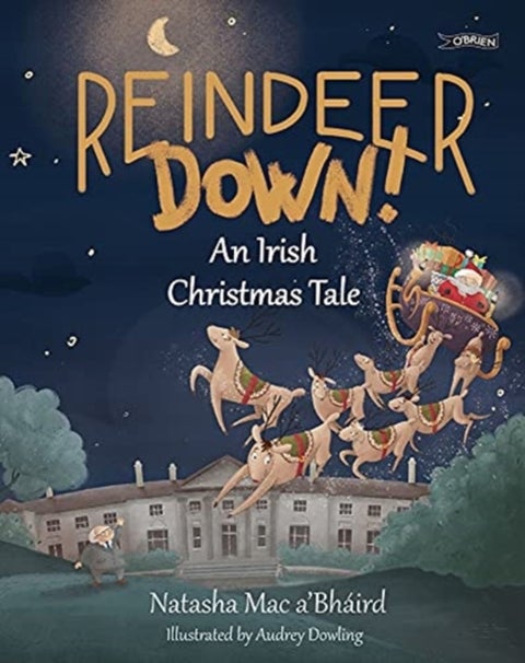 Reindeer Down! - An Irish Christmas Tale
