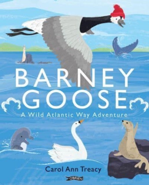 Barney Goose - A Wild Atlantic Way Adventure