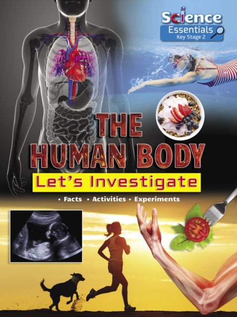 Bilde av The Human Body: Let&#039;s Investigate Av Ruth Owen