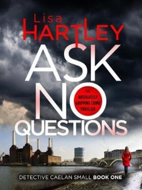 Ask No Questions - A gripping crime thriller with a twist you won't see coming