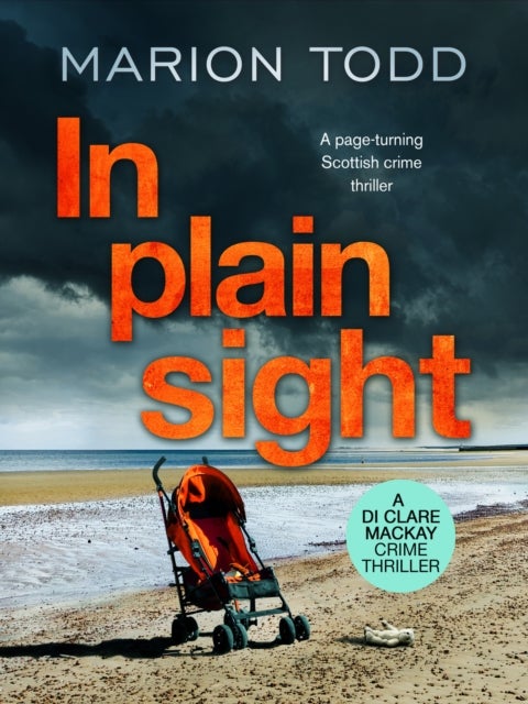 In Plain Sight - A page-turning Scottish crime thriller