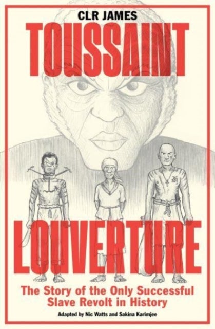 Toussaint Louverture - The Story of the Only Successful Slave Revolt in History