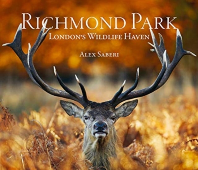 Richmond Park - London's Wildlife Haven