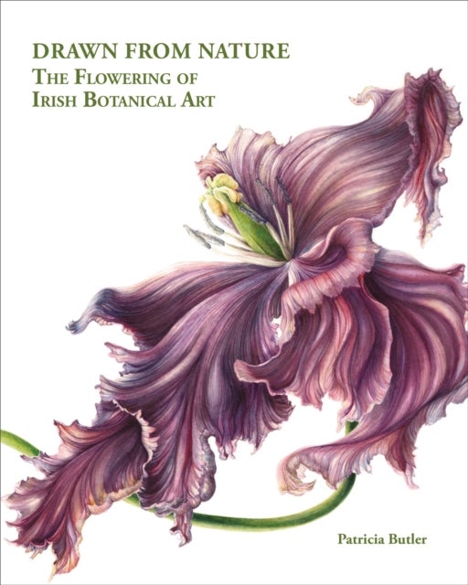 Drawn From Nature - The Flowering of Irish Botanical Art
