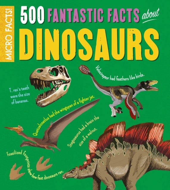 Bilde av Micro Facts!: 500 Fantastic Facts About Dinosaurs Av Anne Rooney