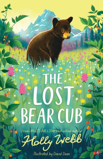 Bilde av The Lost Bear Cub Av Holly Webb
