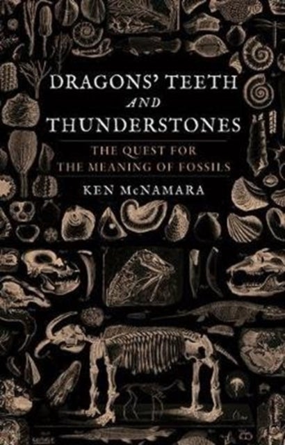 Dragons' Teeth and Thunderstones - The Quest for the Meaning of Fossils