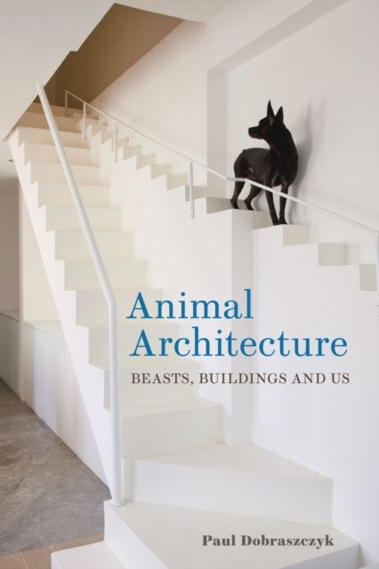 Animal Architecture - Beasts, Buildings and Us
