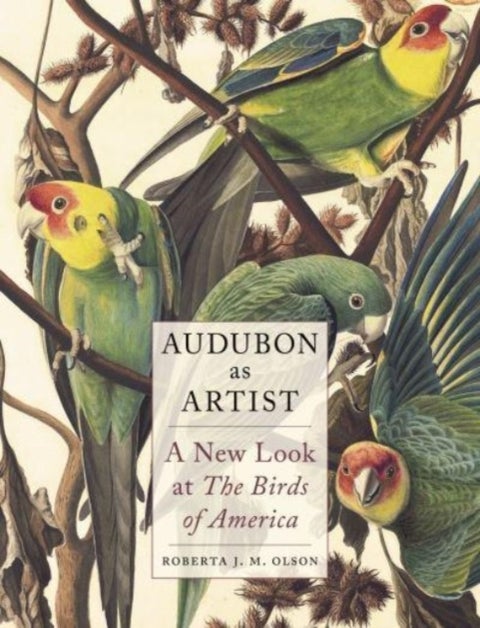 Audubon as Artist - A New Look at the Birds of America