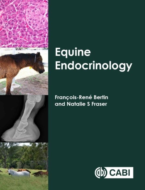 Bilde av Equine Endocrinology Av Francois-rene (the University Of Queensland Australia) Bertin, Natalie S (the University Of Queensland Australia) Fraser