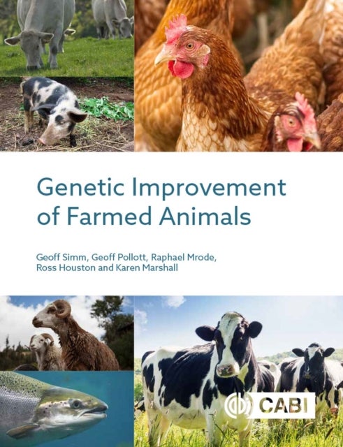 Bilde av Genetic Improvement Of Farmed Animals Av Geoff (university Of Edinburgh Uk) Simm, Dr Geoff (royal Veterinary College Uk) Pollott, Raphael A (scotland&