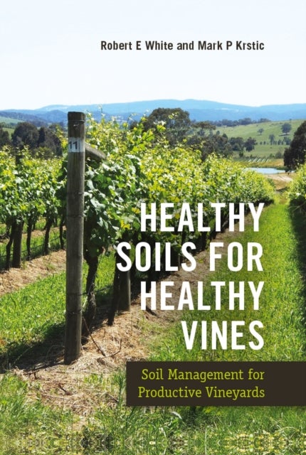 Bilde av Healthy Soils For Healthy Vines Av Robert (university Of Melbourne Australia) White, Mark (australian Wine Research Institute Australia) Krstic