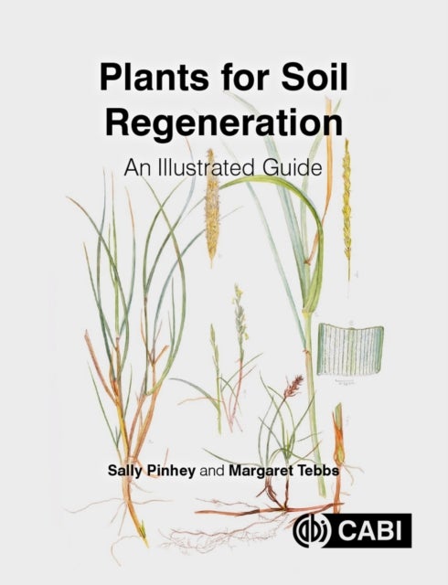 Bilde av Plants For Soil Regeneration Av Sally (institute Of Analytical Plant Illustration Uk) Pinhey, Margaret (institute Of Analytical Plant Illustration Uk)