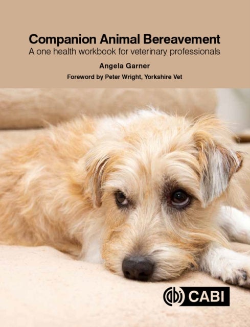 Bilde av Companion Animal Bereavement Av Angela (animal Bereavement Specialist Uk) Garner