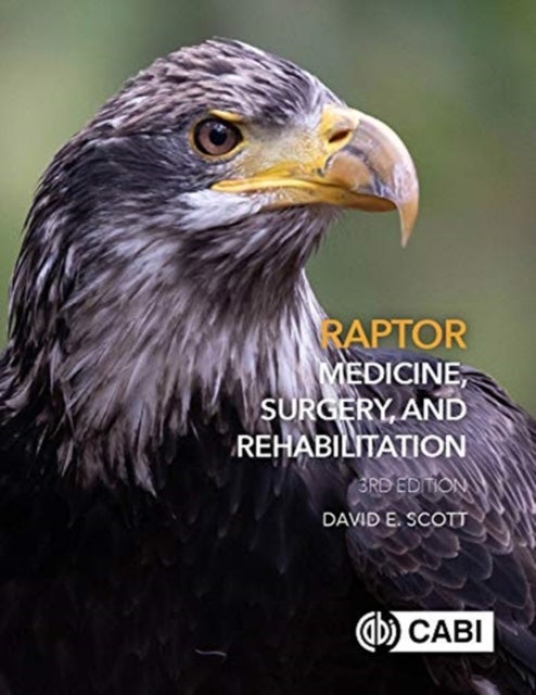 Bilde av Raptor Medicine, Surgery, And Rehabilitation Av Dr David (veterinarian Carolina Raptor Cen Scott
