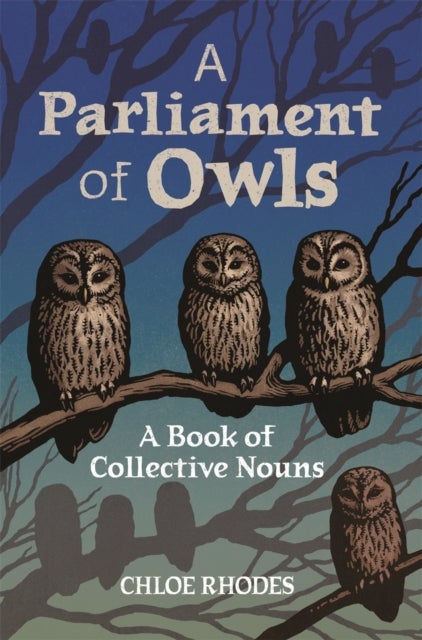 A Parliament of Owls - A Book of Collective Nouns
