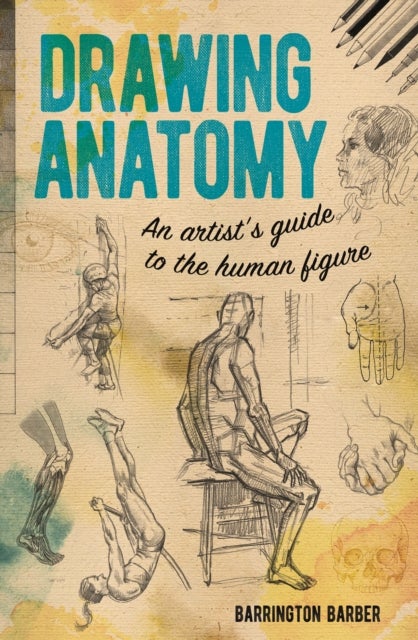 Bilde av Drawing Anatomy Av Barrington Barber