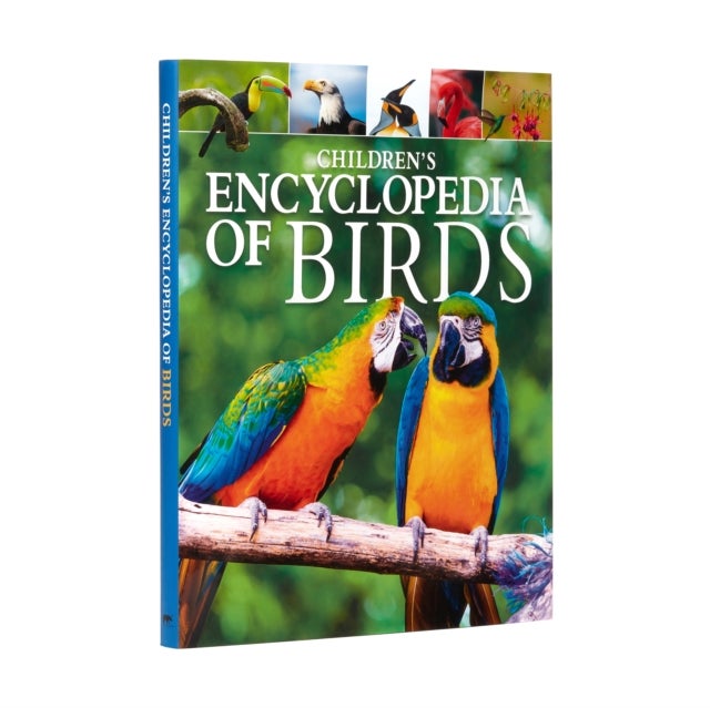 Bilde av Children&#039;s Encyclopedia Of Birds Av Claudia Martin