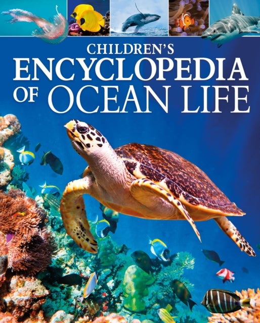 Bilde av Children&#039;s Encyclopedia Of Ocean Life Av Claudia Martin
