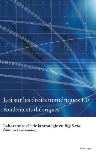 Loi Sur Les Droits Numeriques 1.0 - Fondements Theoriques
