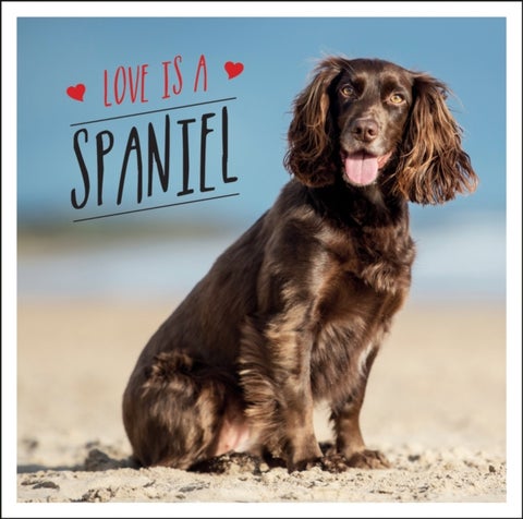 Love is a Spaniel - A Dog-Tastic Celebration of the World¿s Most Lovable Breed