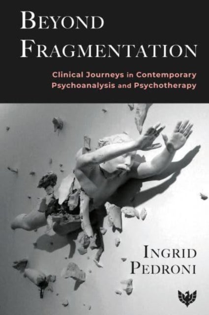 Beyond Fragmentation - Clinical Journeys in Contemporary Psychoanalysis and Psychotherapy