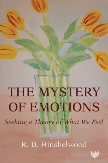 Bilde av The Mystery Of Emotions Av R. D. Hinshelwood