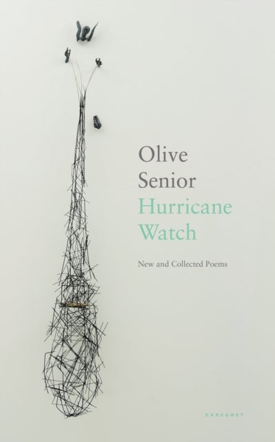Hurricane Watch - New and Collected Poems