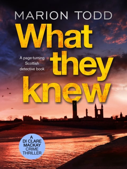What They Knew - A page-turning Scottish detective book