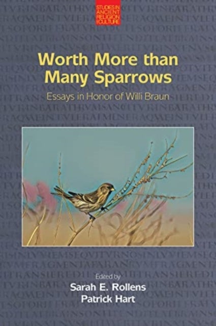 Worth More Than Many Sparrows - Essays in Honour of Willi Braun