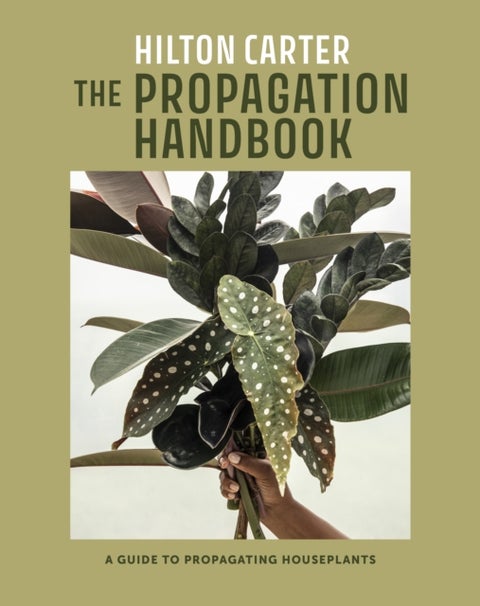 The Propagation Handbook - A Guide to Propagating Houseplants