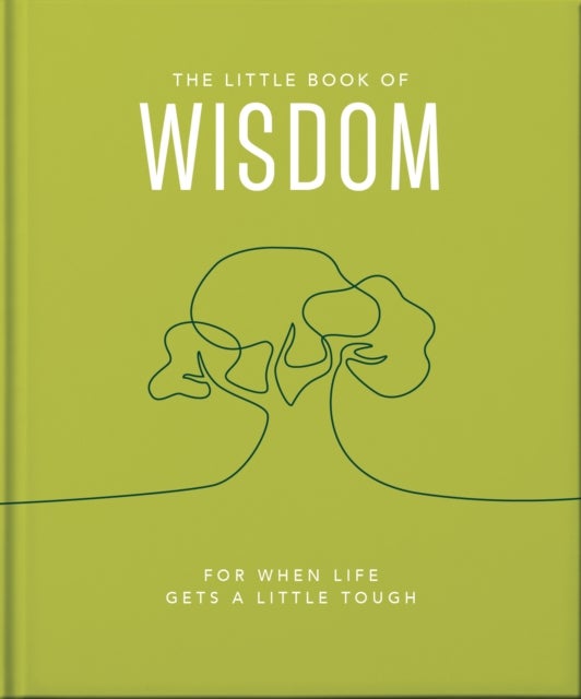 The Little Book of Wisdom - For when life gets a little tough