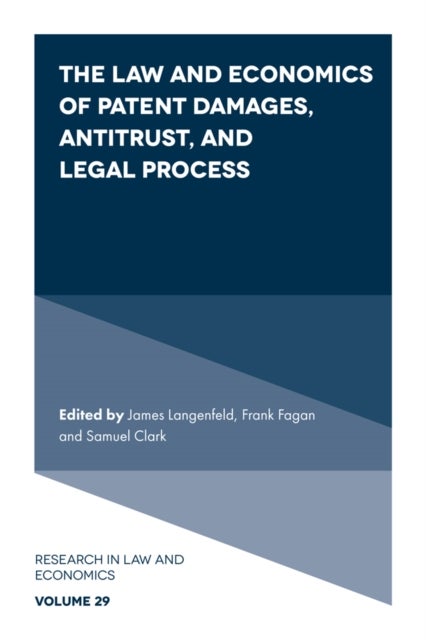 Bilde av The Law And Economics Of Patent Damages, Antitrust, And Legal Process