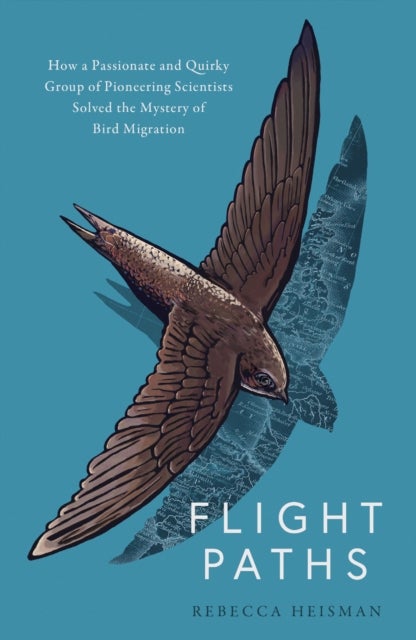 Flight Paths - How the mystery of bird migration was solved
