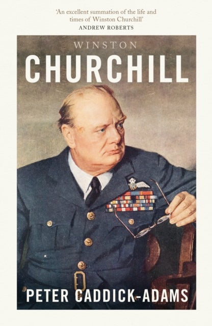 Winston Churchill - The Prime Ministers Series