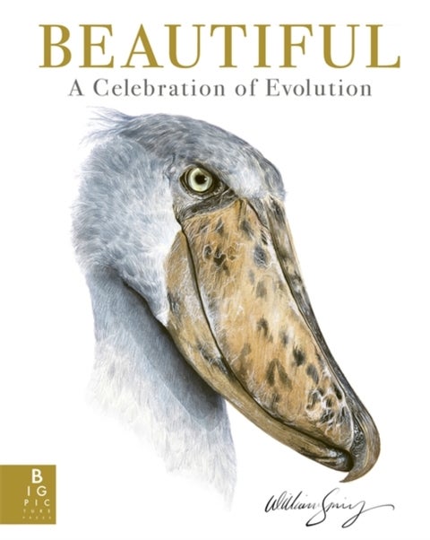 Beautiful - A Celebration of Evolution