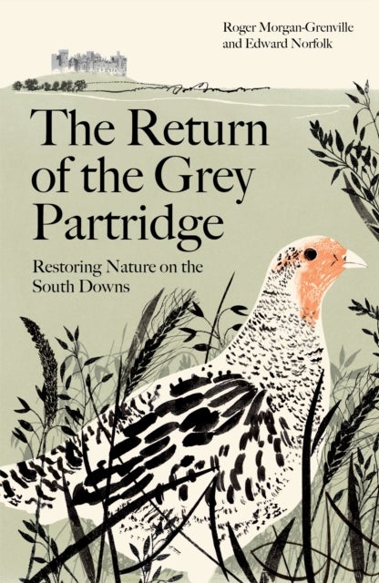 The Return of the Grey Partridge - Restoring Nature on the South Downs