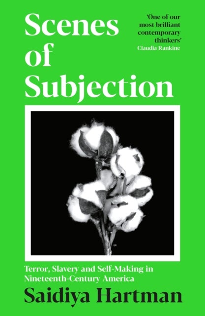 Scenes of Subjection - Terror, Slavery and Self-Making in Nineteenth Century America