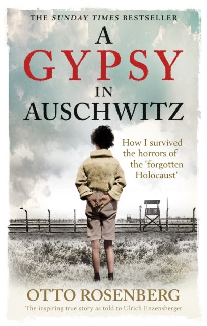 Bilde av A Gypsy In Auschwitz Av Otto Rosenberg