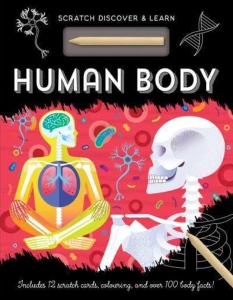 HUMAN BODY