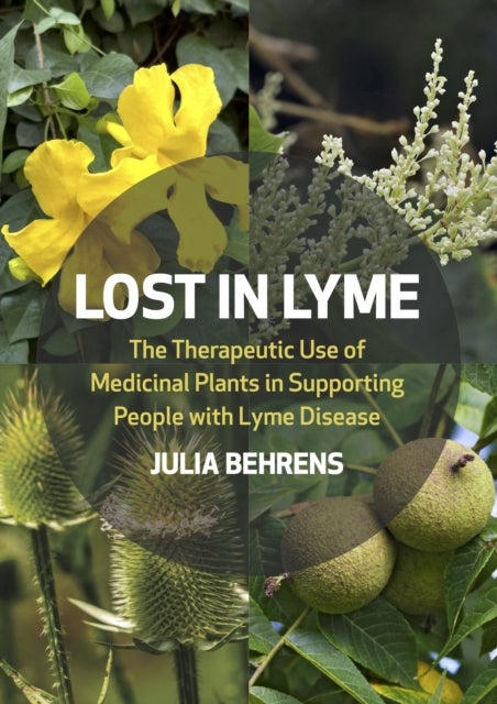 Lost in Lyme - The Therapeutic Use of Medicinal Plants in Supporting People with Lyme Disease