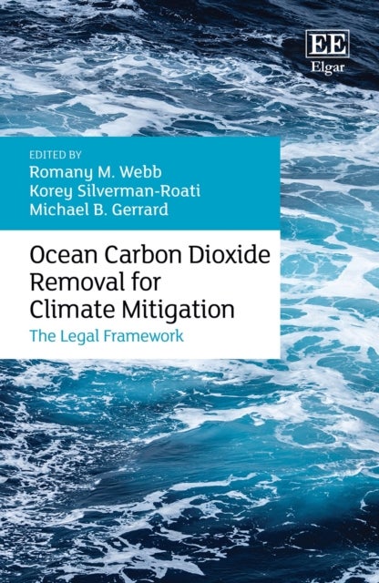 Bilde av Ocean Carbon Dioxide Removal For Climate Mitigation
